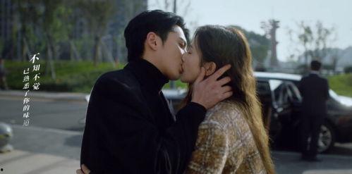 以爱为营国产连续剧在线观看,国产连续剧，浪漫爱情故事在线观看指南